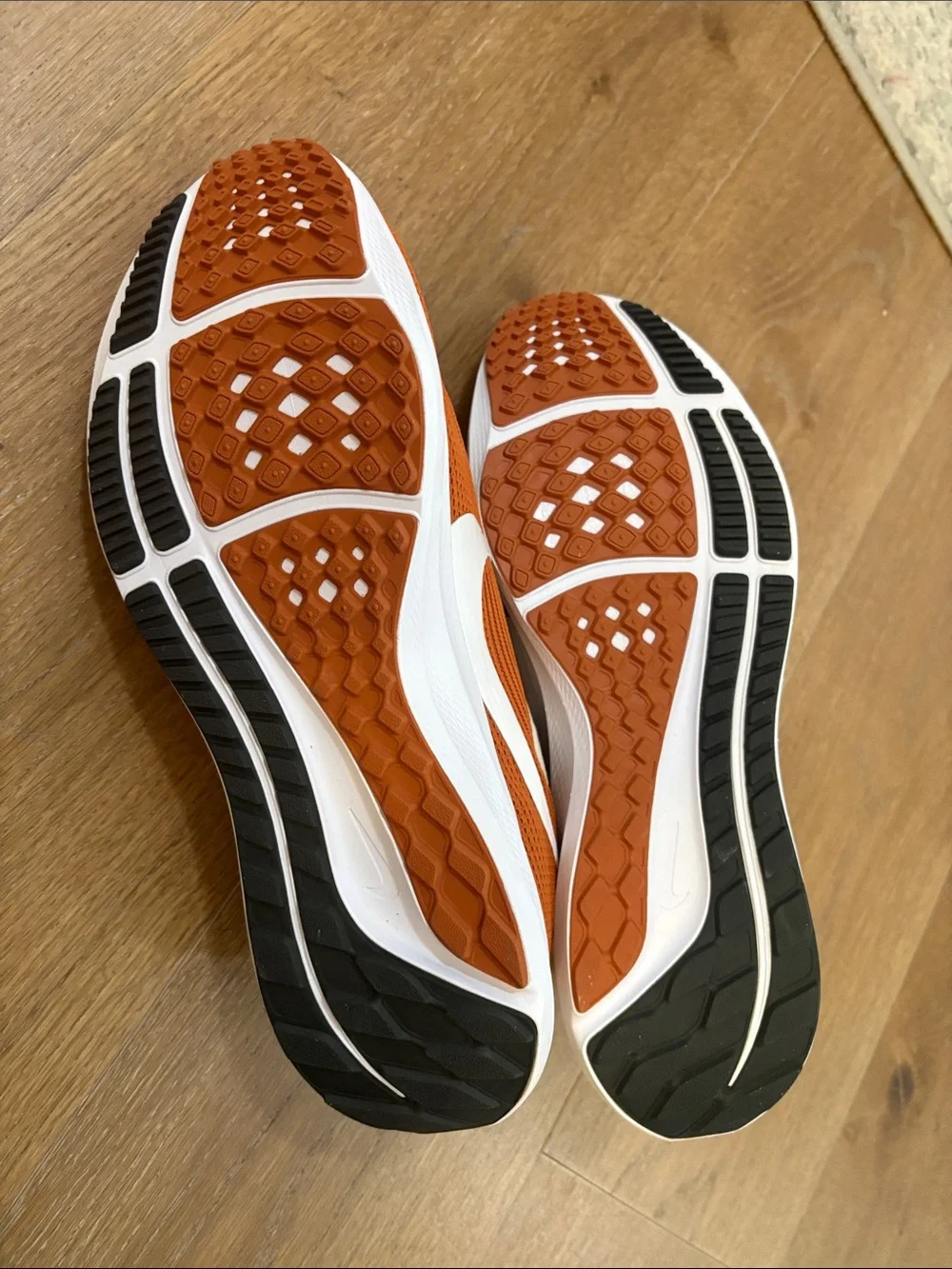 Texas longhorn Nike Men’s Pegasus 40